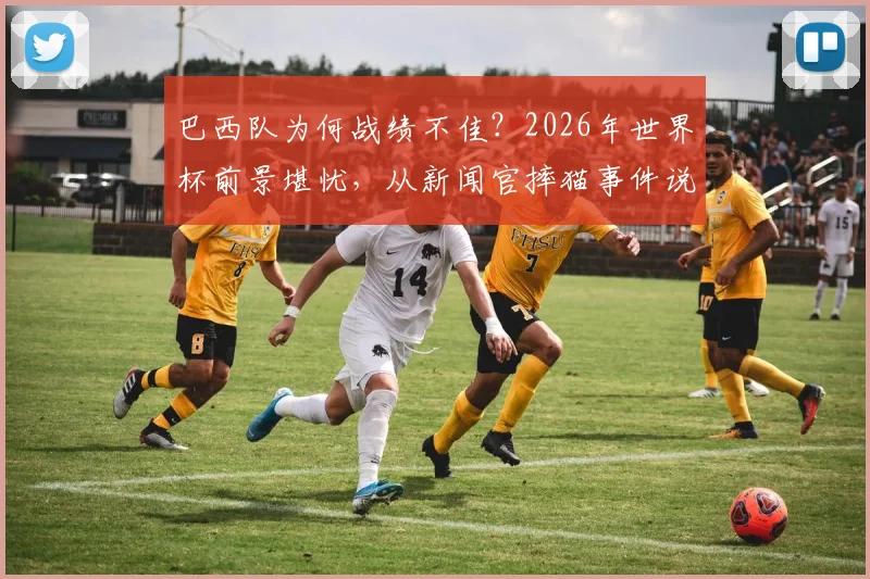 巴西队为何战绩不佳？2026年世界杯前景堪忧，从新闻官摔猫事件说起