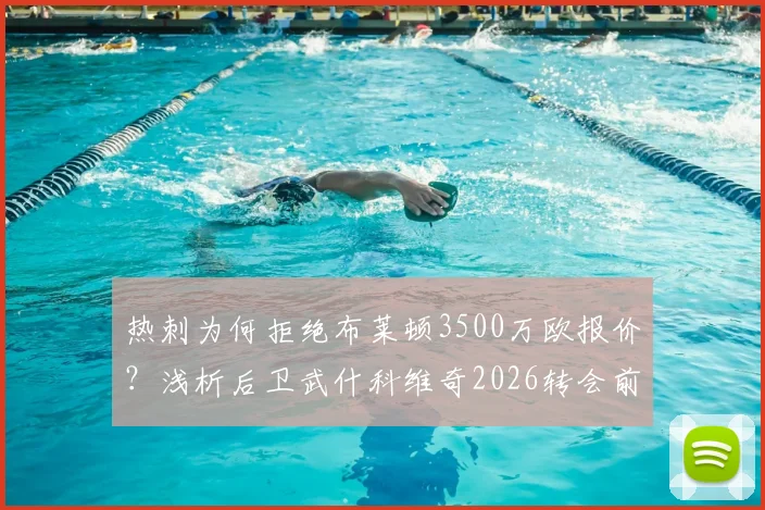 热刺为何拒绝布莱顿3500万欧报价?浅析后卫武什科维奇2026转会前景与球队计划